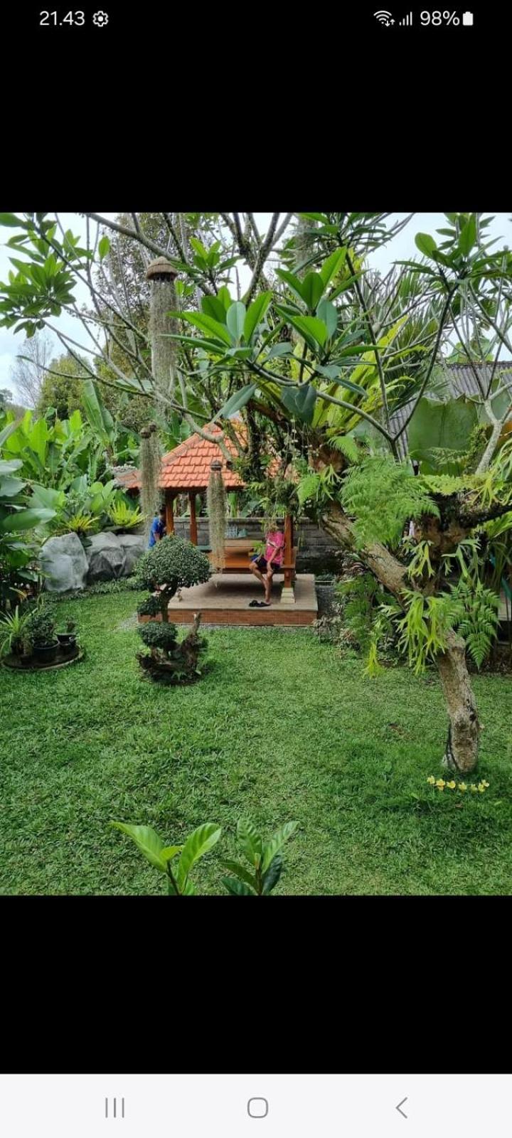 D'Sari Undisan Houses Bangli Esterno foto