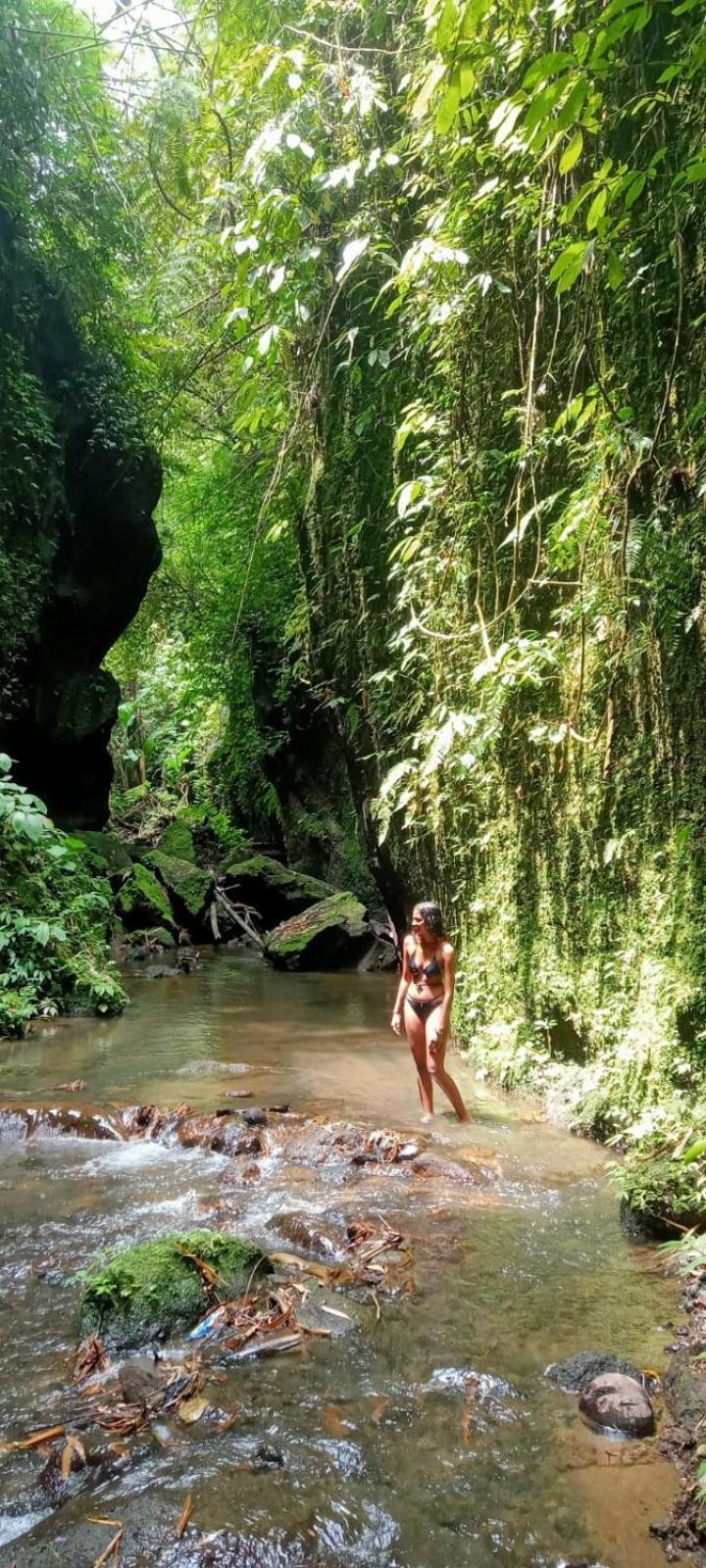 D'Sari Undisan Houses Bangli Esterno foto